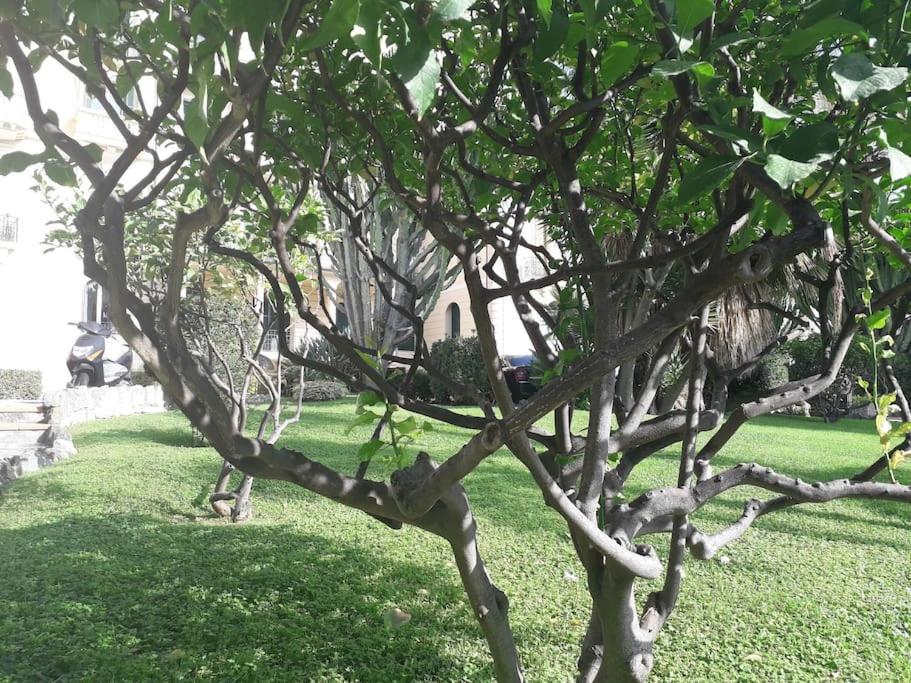 شقة La Casa Di Anna, In Palazzina Liberty Fronte Parco بورديغيرا المظهر الخارجي الصورة